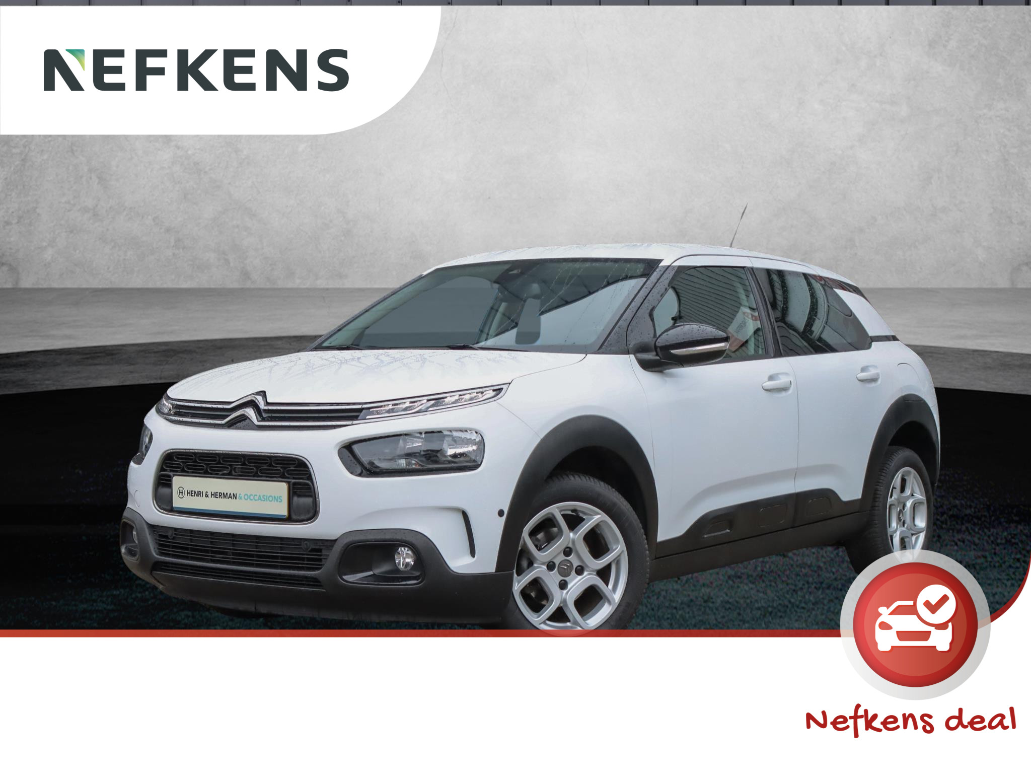 Citroën C4 Cactus 110pk P.T. Business (1ste eig./LEER/T.haak/PDC V+A/Climate/NAV.)