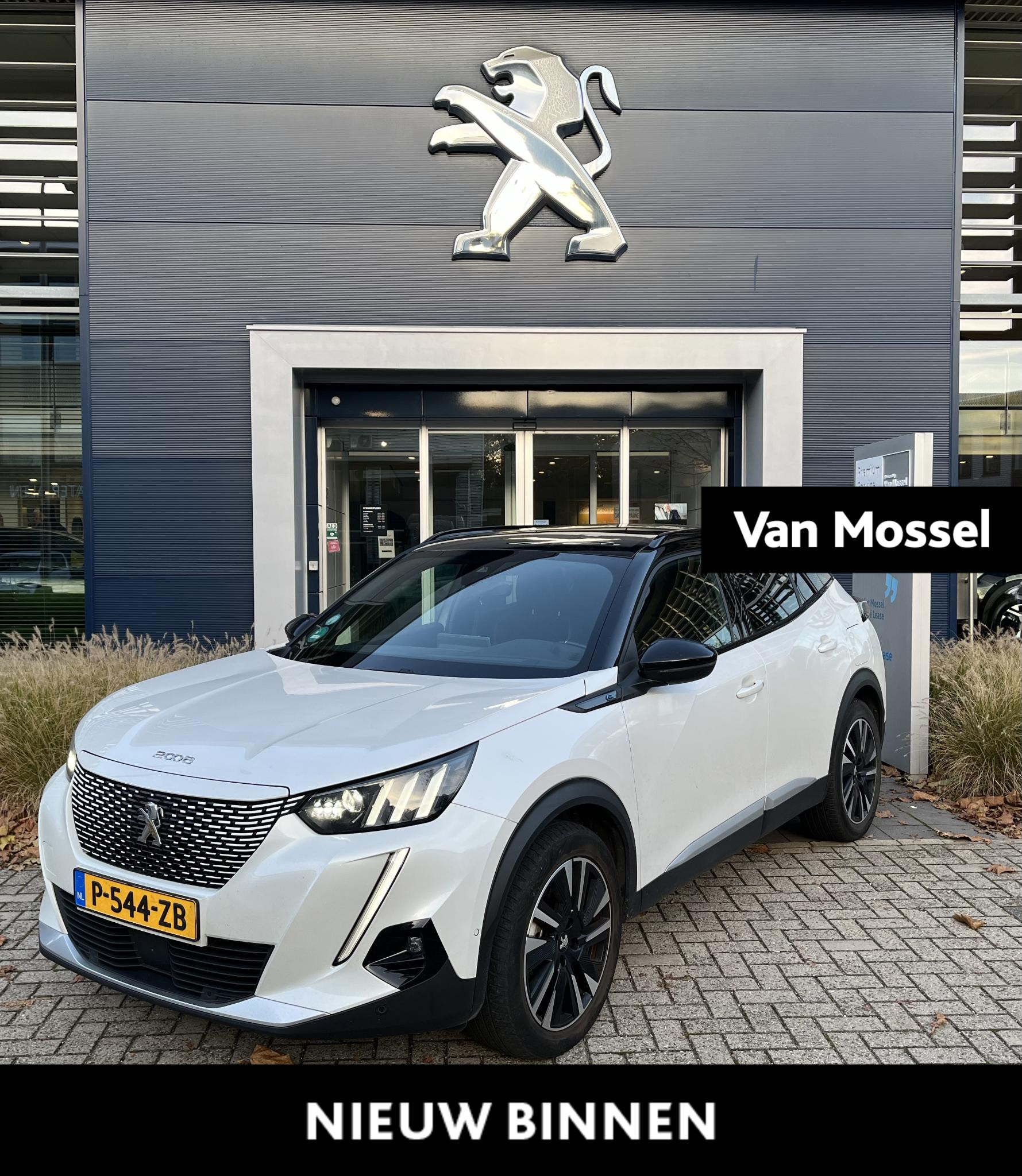 Peugeot e-2008 EV GT Pack 50 kWh €2000,- Subsidie! l Panorama dak l Alcantara bekleding