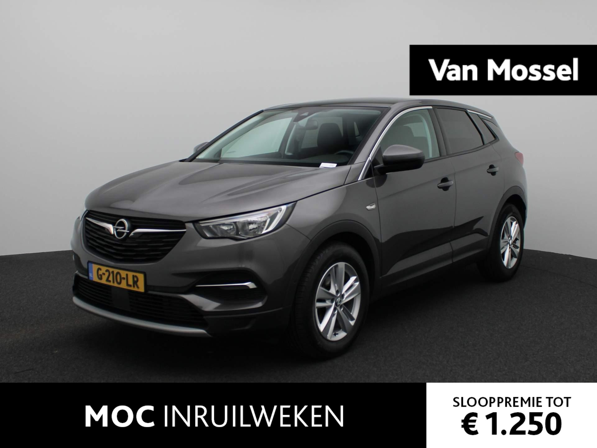 Opel Grandland X 1.2 Turbo Business Executive | Navi | ECC | Pano | PDC |