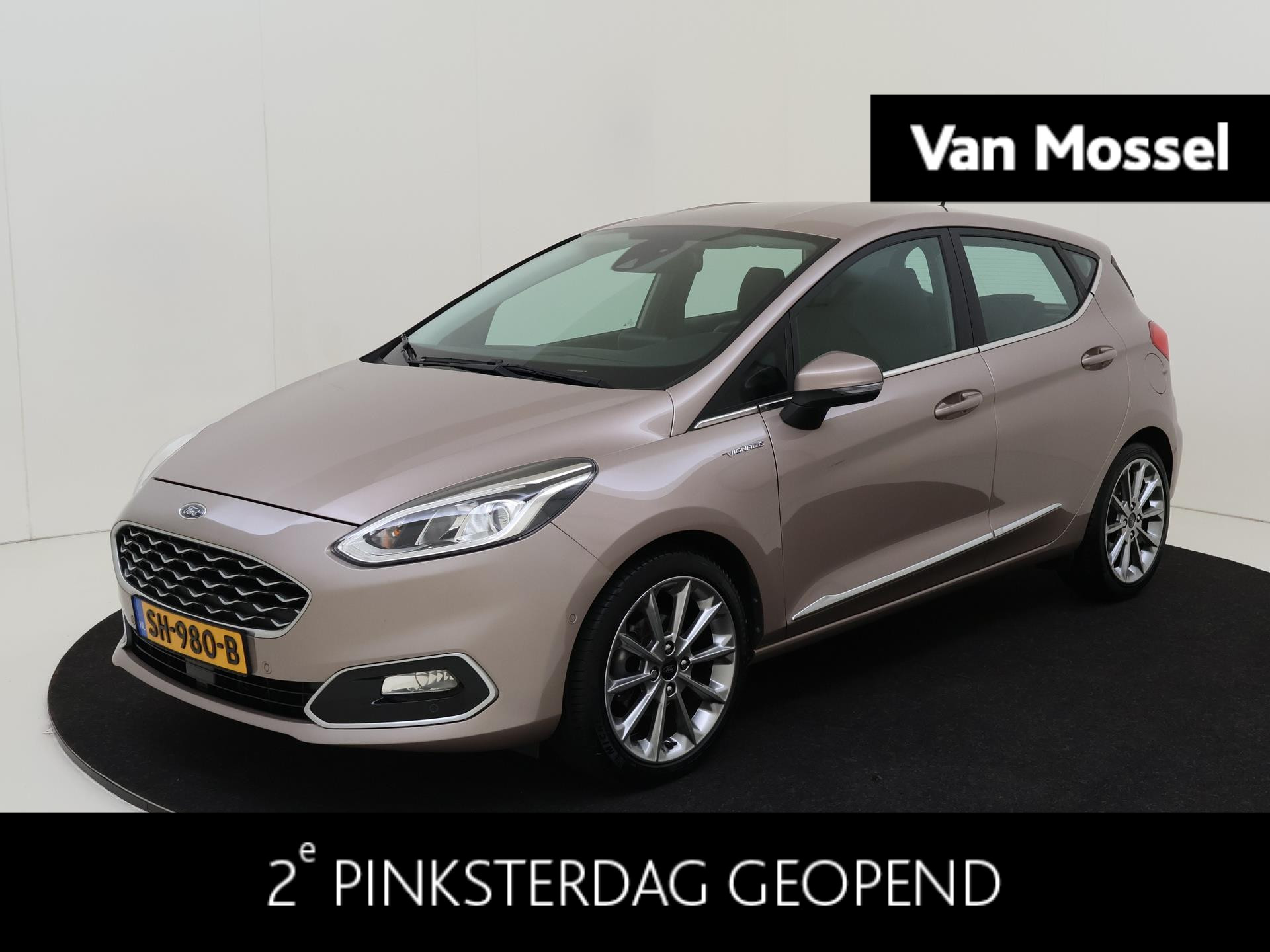 Ford Fiesta 1.0 EcoBoost Vignale 17" wielen / Pack Parking / Pack Winter / Led
