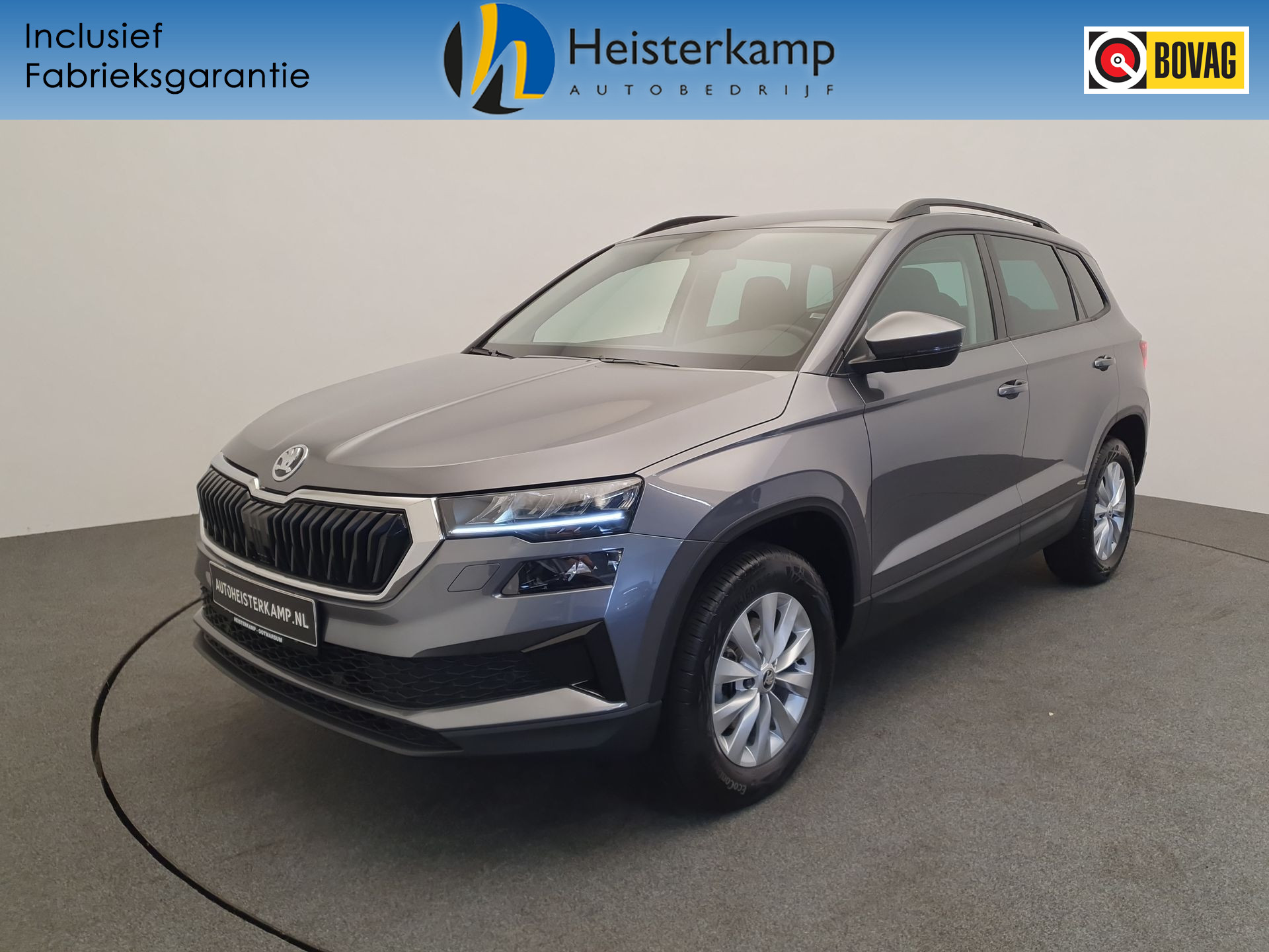 Škoda Karoq 1.0 TSI Business Edition Camera, Winterpakket