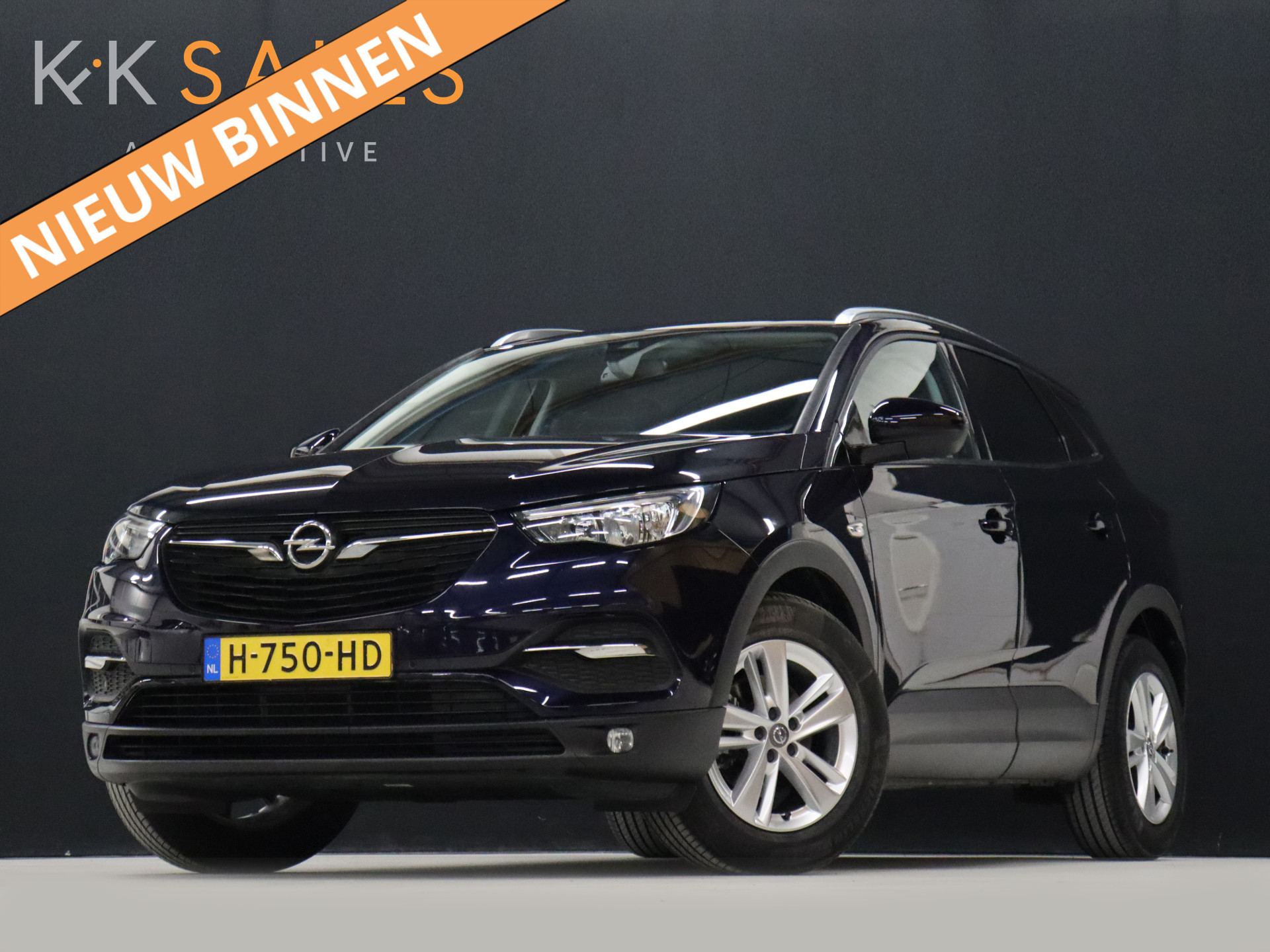 Opel Grandland X 1.2 Turbo Business Executive [APPLE CARPLAY, ANDROID AUTO, PARKEERSENSOR V+A, STUUR VERWARMD, NIEUWSTAAT]